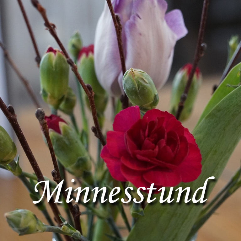 minnesstund_boka